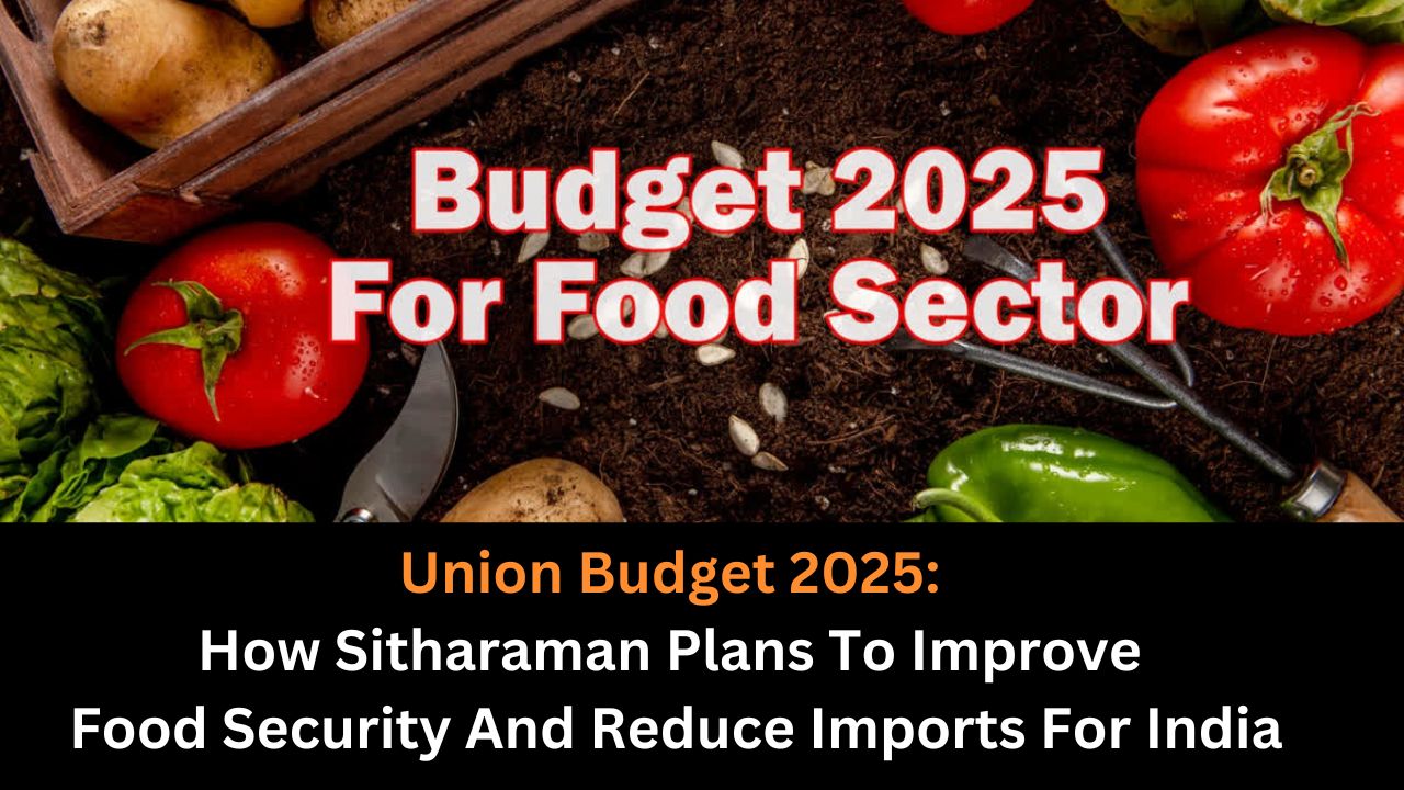 Union Budget 2025: How Sitharaman Plans To Improve Food Security And Reduce Imports For India